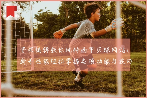资深编辑教你玩转西甲买球网站，新手也能轻松掌握各项功能与技巧